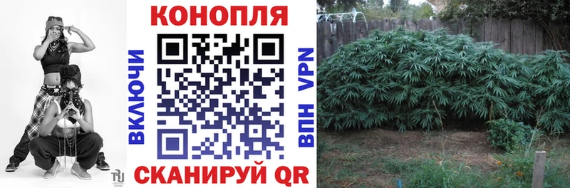 Купить наркотики сайты Гремячинск ОМГ ОМГ зеркало  Псилоцибиновые грибы  APVP  Марихуана  ГАШ  МЕФ  Кокаин 