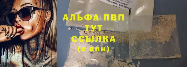 PSILOCYBIN Белоозёрский