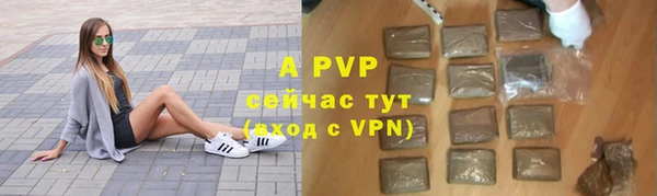 амф Беломорск