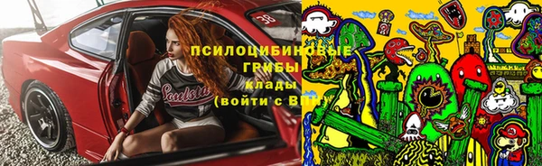 индика Вязьма