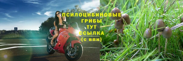 мдма Киреевск