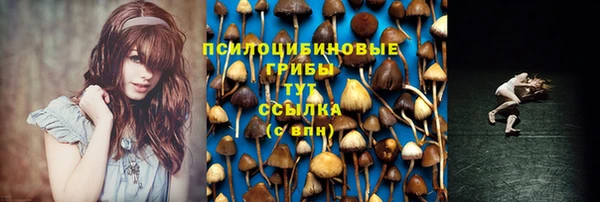 амф Беломорск