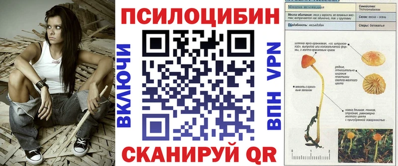Псилоцибиновые грибы Magic Shrooms  закладки  Гремячинск 