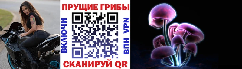 Псилоцибиновые грибы MAGIC MUSHROOMS Гремячинск
